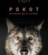 Pokot – Spoor – HD 1080p