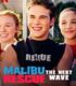 Malibu Plajı: Yeni Dalga / Malibu Rescue: The Next Wave (2020) izle